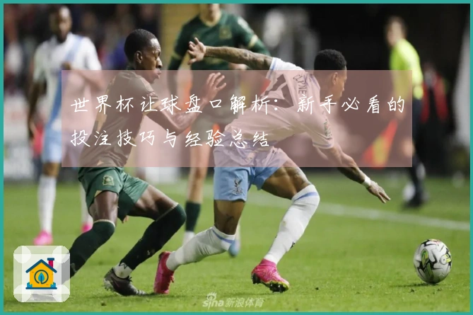 世界杯让球盘口解析：新手必看的投注技巧与经验总结