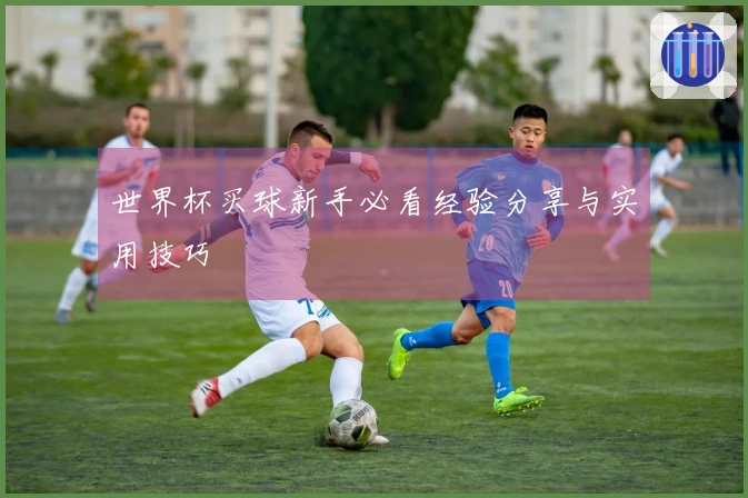 世界杯买球新手必看经验分享与实用技巧
