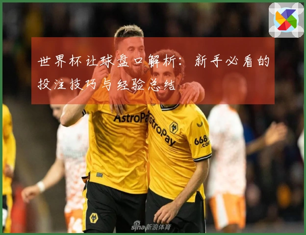 世界杯让球盘口解析：新手必看的投注技巧与经验总结