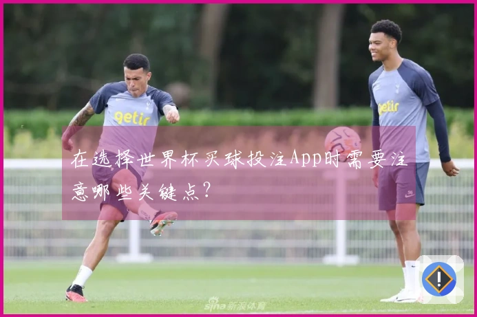 在选择世界杯买球投注App时需要注意哪些关键点？