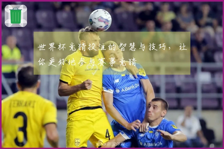 世界杯竞猜投注的智慧与技巧，让你更好地参与赛事竞猜