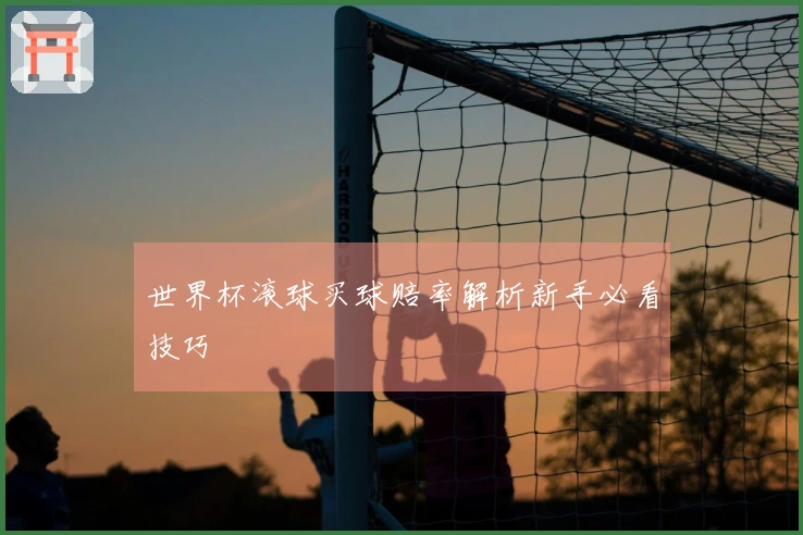 世界杯滚球买球赔率解析新手必看技巧