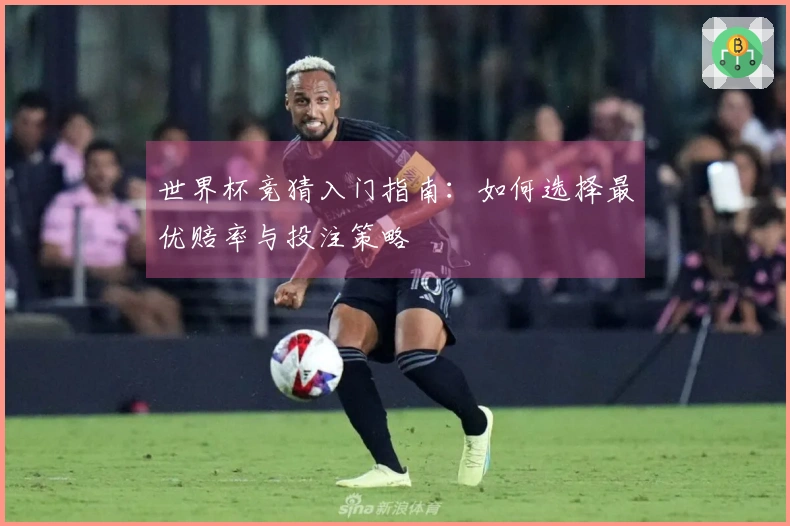 世界杯竞猜入门指南：如何选择最优赔率与投注策略