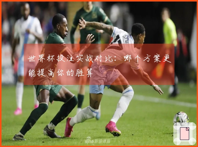 世界杯投注实战对比：哪个方案更能提高你的胜算