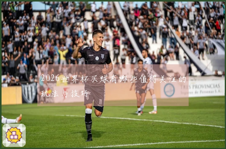 2026世界杯买球有哪些值得关注的玩法与技巧
