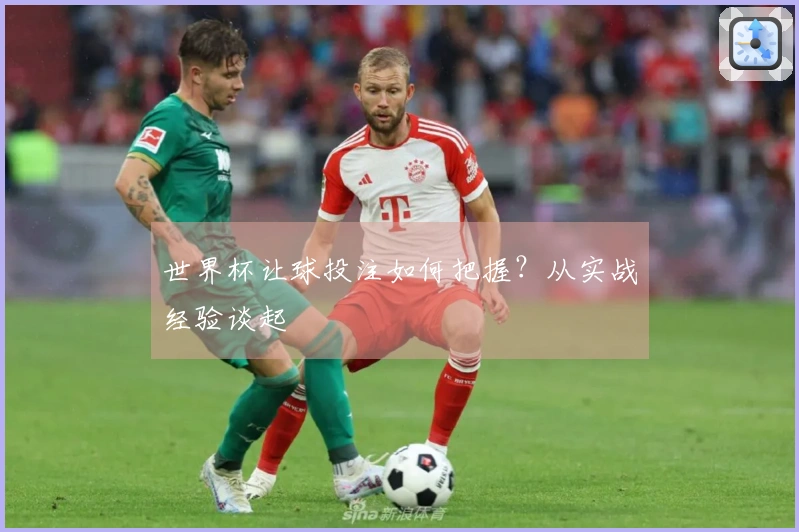 世界杯让球投注如何把握？从实战经验谈起