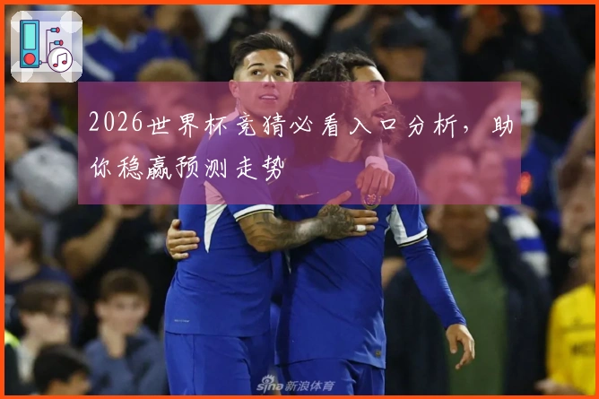 2026世界杯竞猜必看入口分析，助你稳赢预测走势