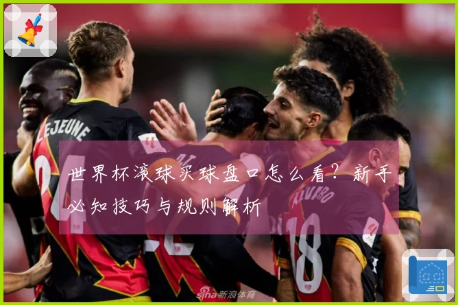 世界杯滚球买球盘口怎么看？新手必知技巧与规则解析